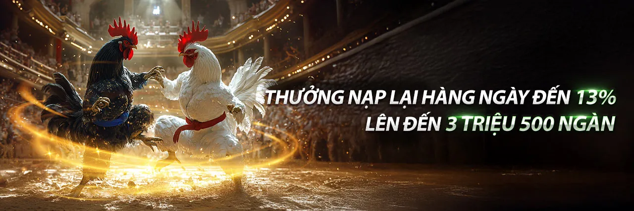 Hình ảnh tổng quan về luật đá gà mới nhất
